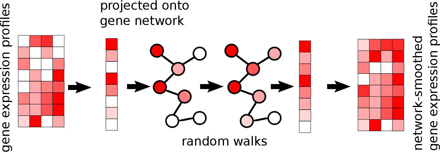 Sketch of netsmooth algorithm